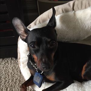 Meet your Posher, Stacy